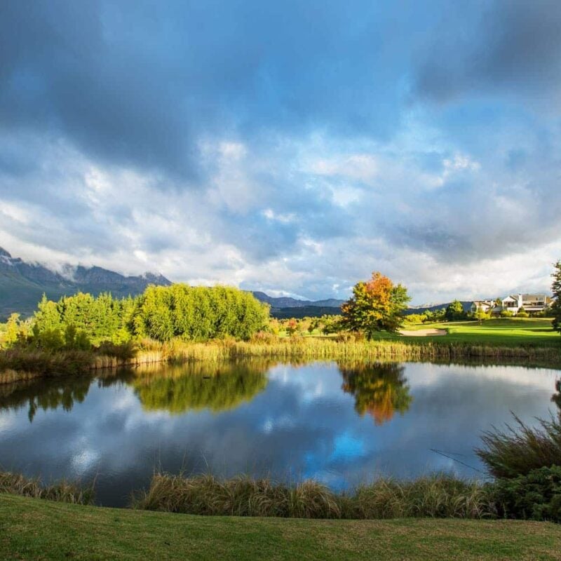 Edith Stephens Wetland Park - Cape Town Tourism