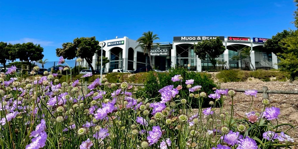 Paddocks Shopping Centre