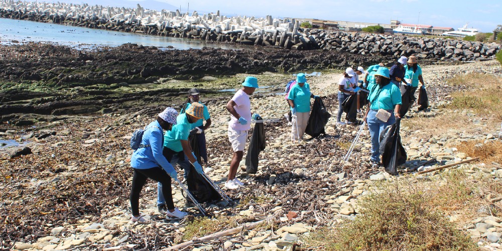 Robben Island Pollution Cleanup