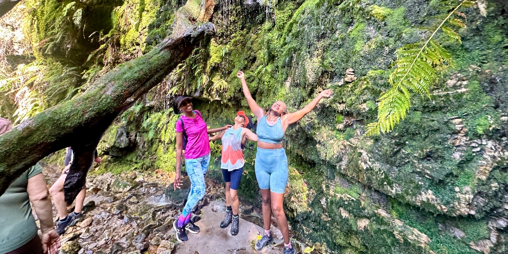 Waterfall hikes in Cape Town