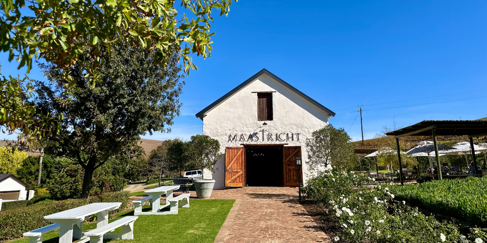Anggur Maastricht, Durbanville